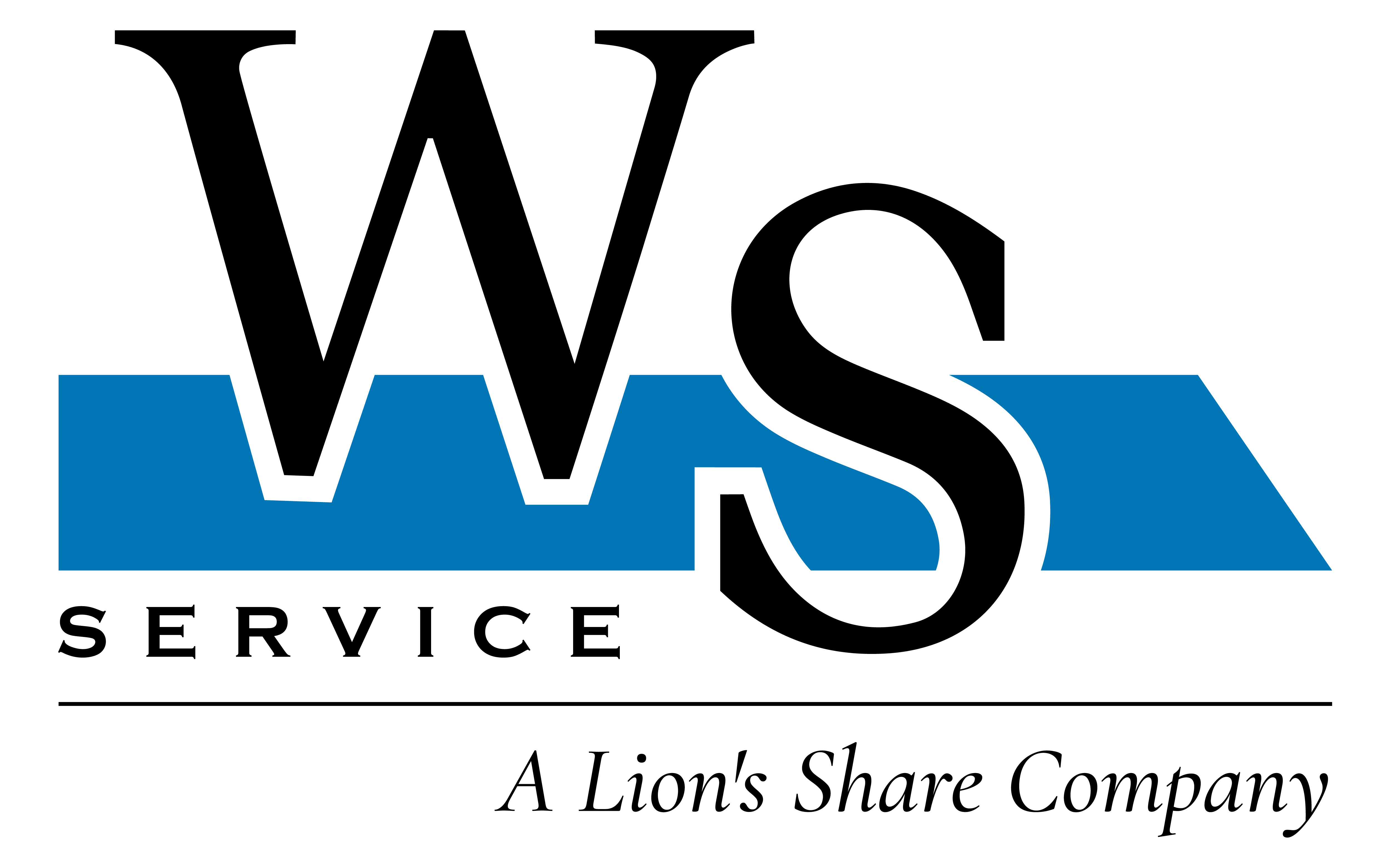 What We Do Lion's Share Company